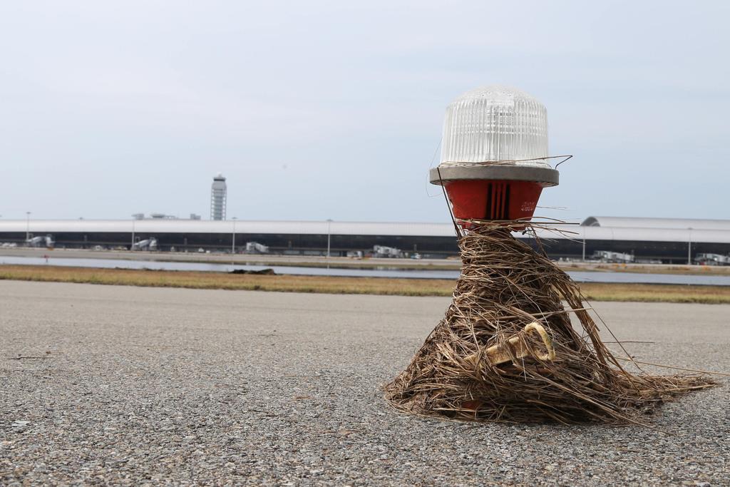 流れた草などが巻き付いた関西国際空港Ａ滑走路の誘導灯。奥は第１ターミナルビル＝６日午後、関西国際空港（恵守乾撮影）