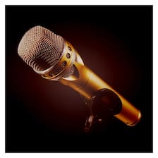 ギネス世界記録、世界最大のアフロヘア(女性)記録更新